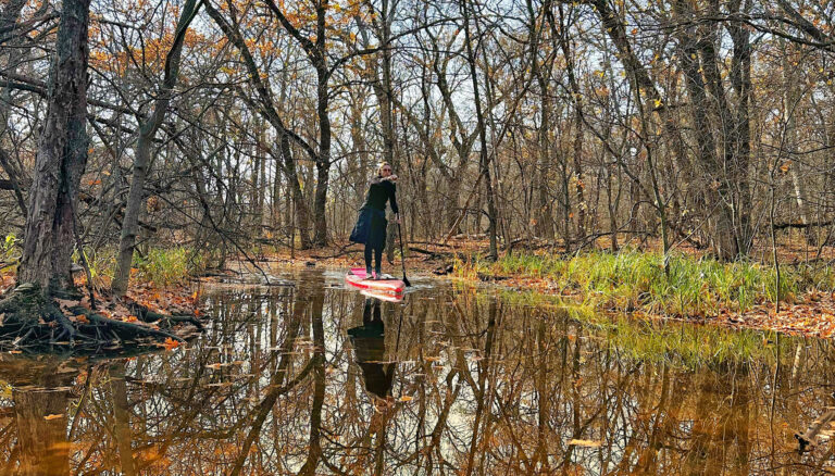 Forest bathing «купання посеред лісів»